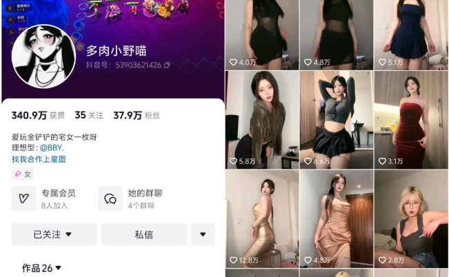 多肉小野猫 微密圈(觅圈)视频写真合集16期-66COS