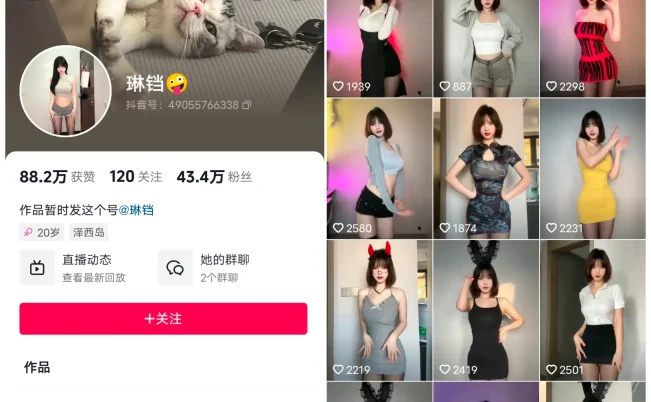 琳铛 微密圈系列写真合集 75套-66COS
